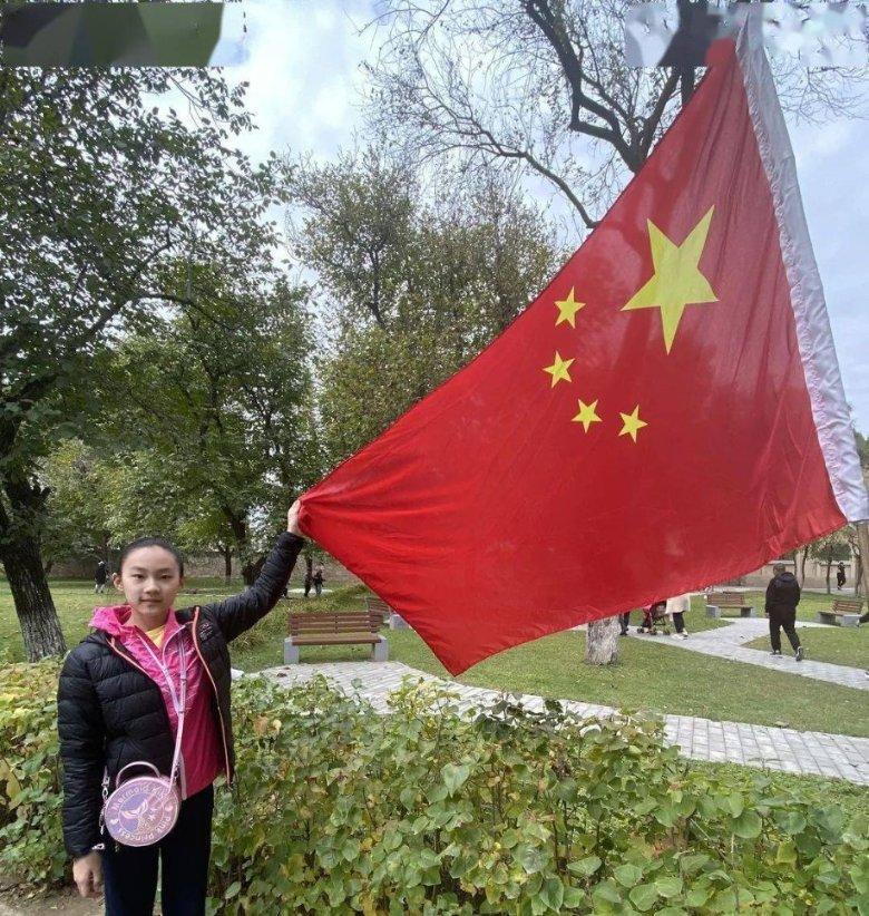 救援可爱小猪仔